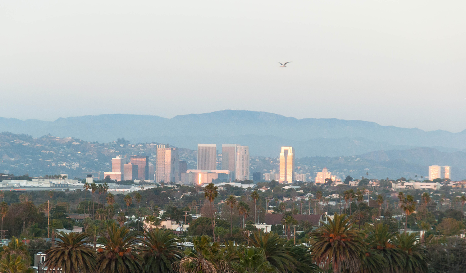 Los Angeles-skyline-Lea-Lou
