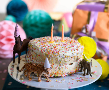 Zuckerfreier Geburtstagskuchen für Kinder